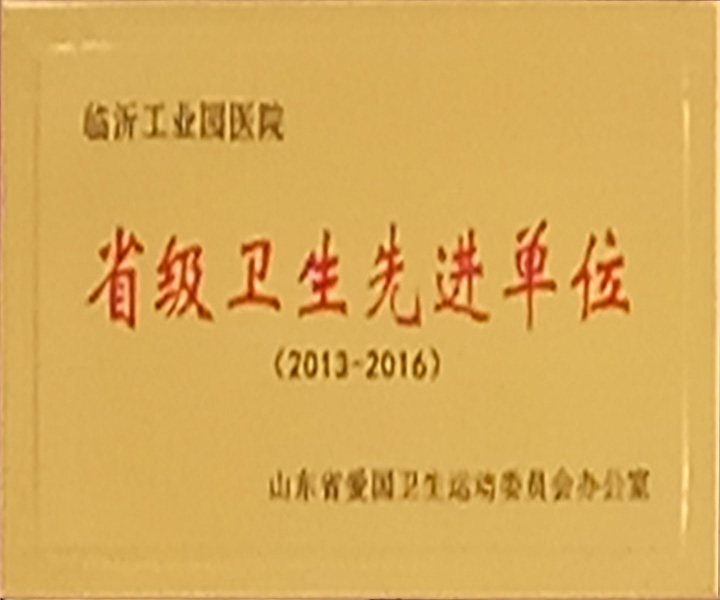 省级卫生先进单位